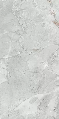 Купить Керамогранит Primavera  States White LC211 1200х600 мм.