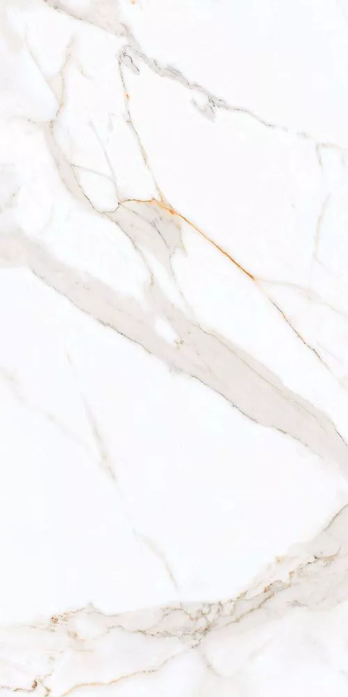 Купить Керамогранит Primavera Regal Carara 60x120 см (PR203)
