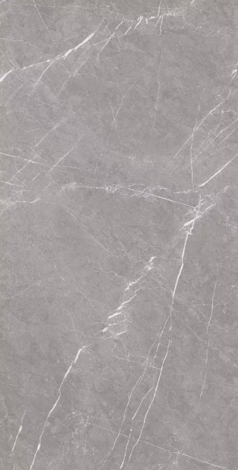 Купить Керамогранит ARTCER Stone Monte Grey CARV 60x120