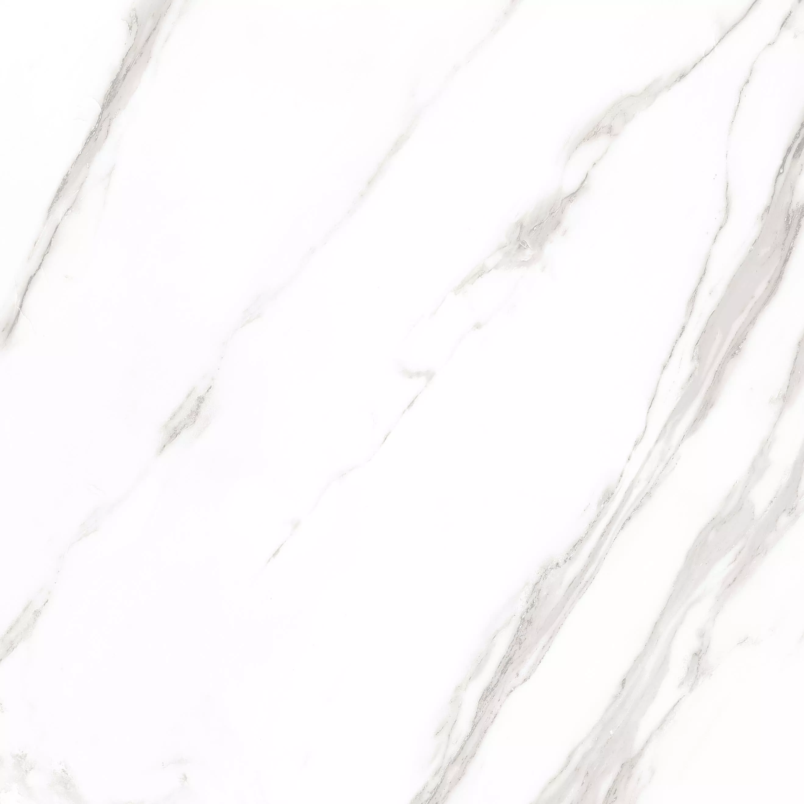Купить Керамогранит ARTCER Marble Royal White POLI 60x60