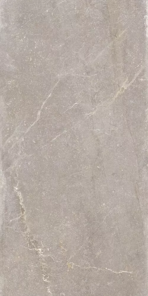 Купить Керамогранит Keraben Bleuemix Taupe SOFT 60x120