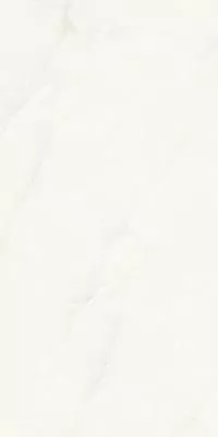 Керамогранит ARTCER Marble Elvine Grey 9 mm POLI 60x120