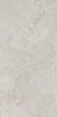 Керамогранит Primavera  Vega Silver NR234 1200х600 мм.