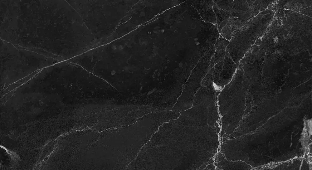 Купить Керамогранит Primavera Dalim Black 30x60 см (NR005)