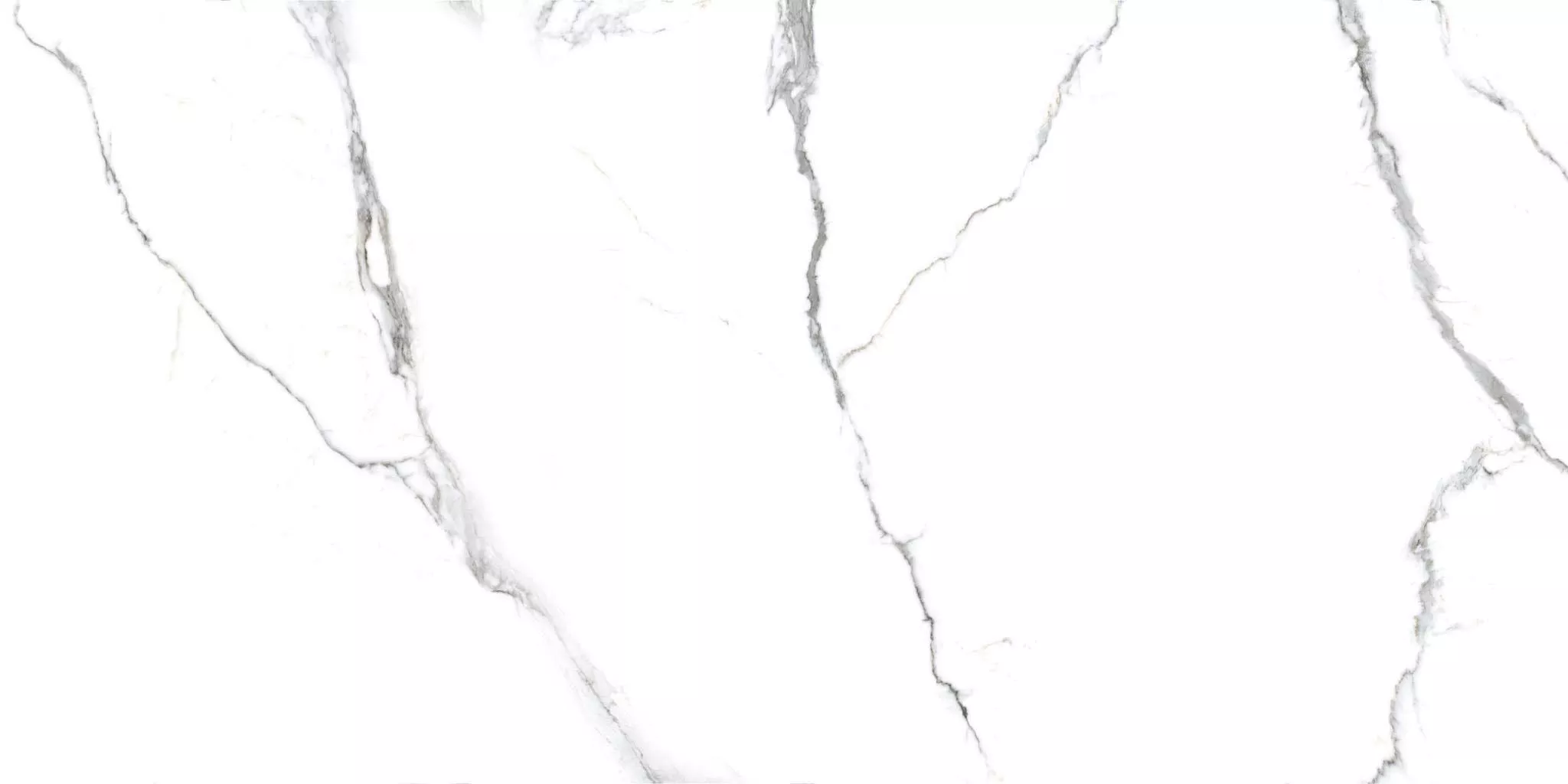 Купить Керамогранит Primavera Acothly Polished 60х120 см (PR234)