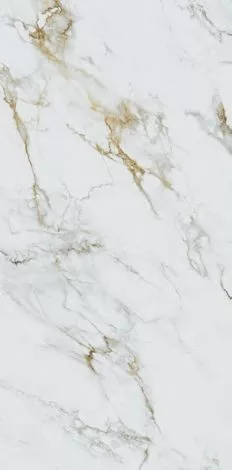 Купить Керамогранит Primavera  Olga Gold MG205 1200х600 мм.
