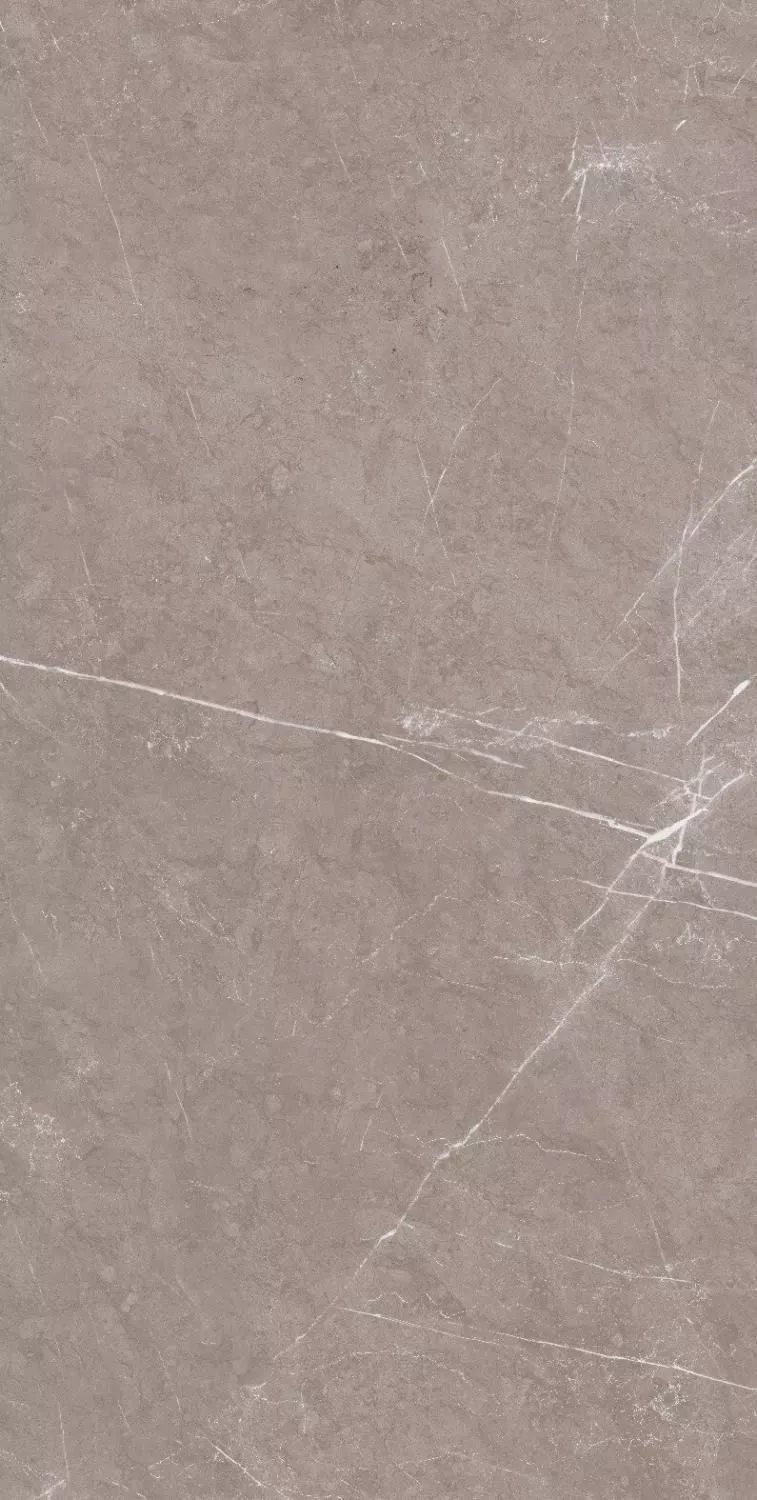 Купить Керамогранит ARTCER Stone Monte Taupe CARV 60x120