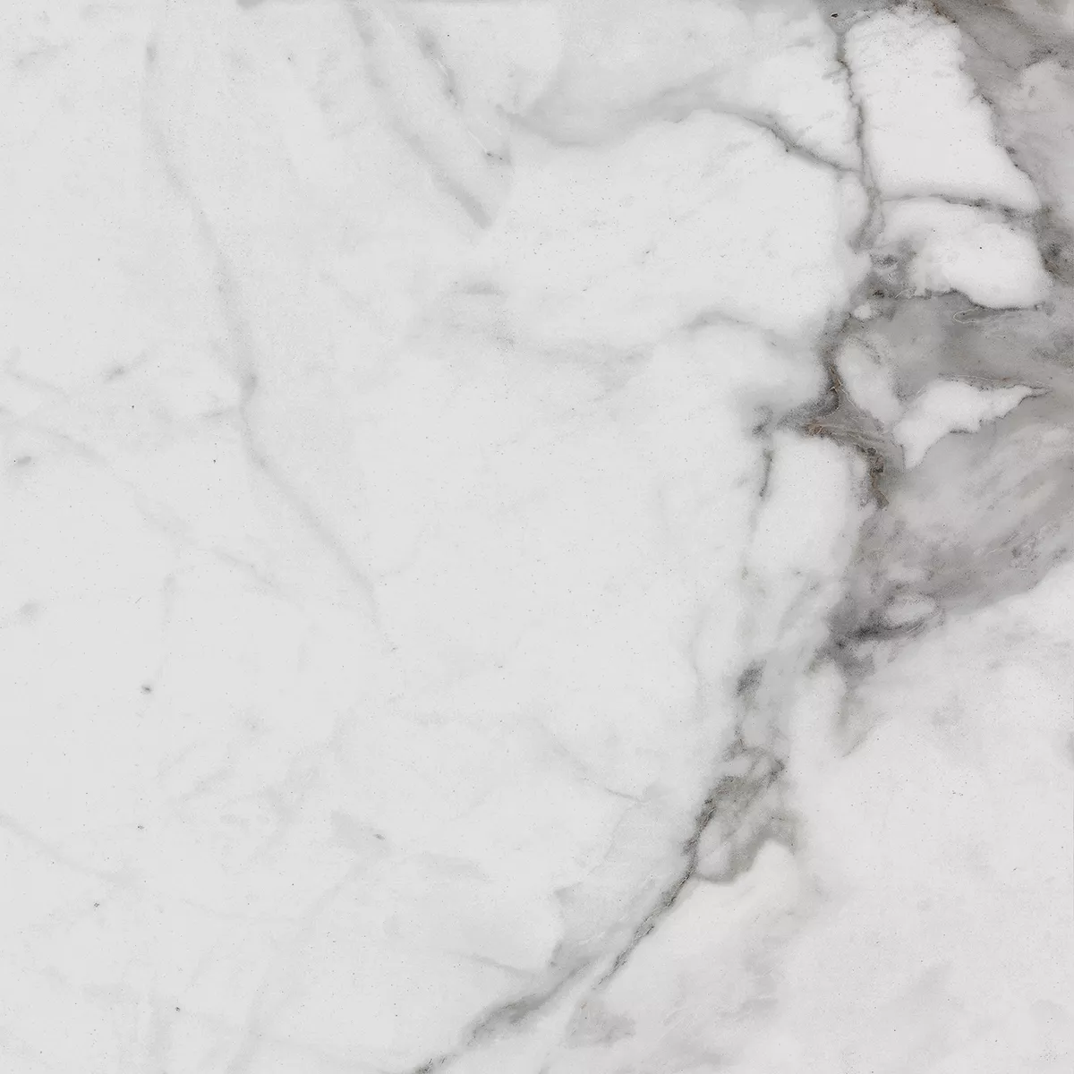 Купить Керамогранит Royce Carrara Betria Polished 60x60 см (R_PR1005)