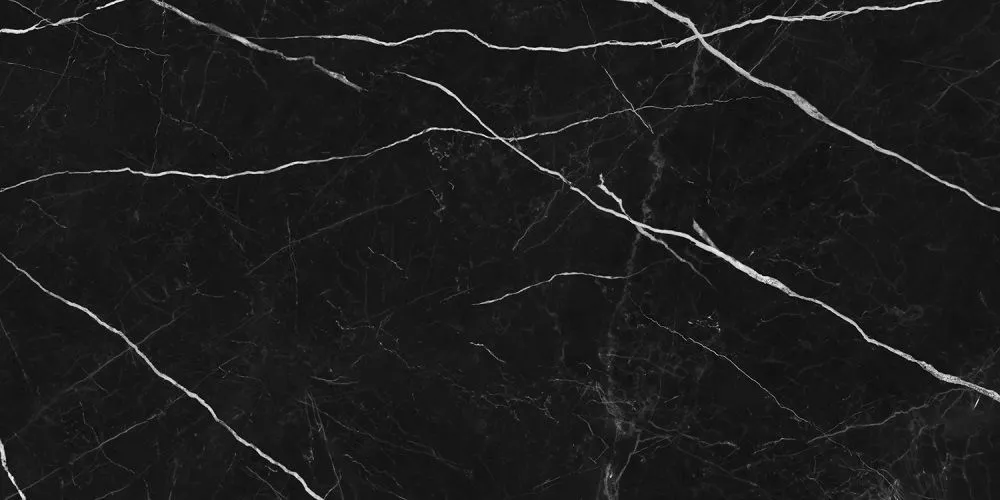 Купить Керамогранит Primavera Ross Black 60x120 см (NR209)