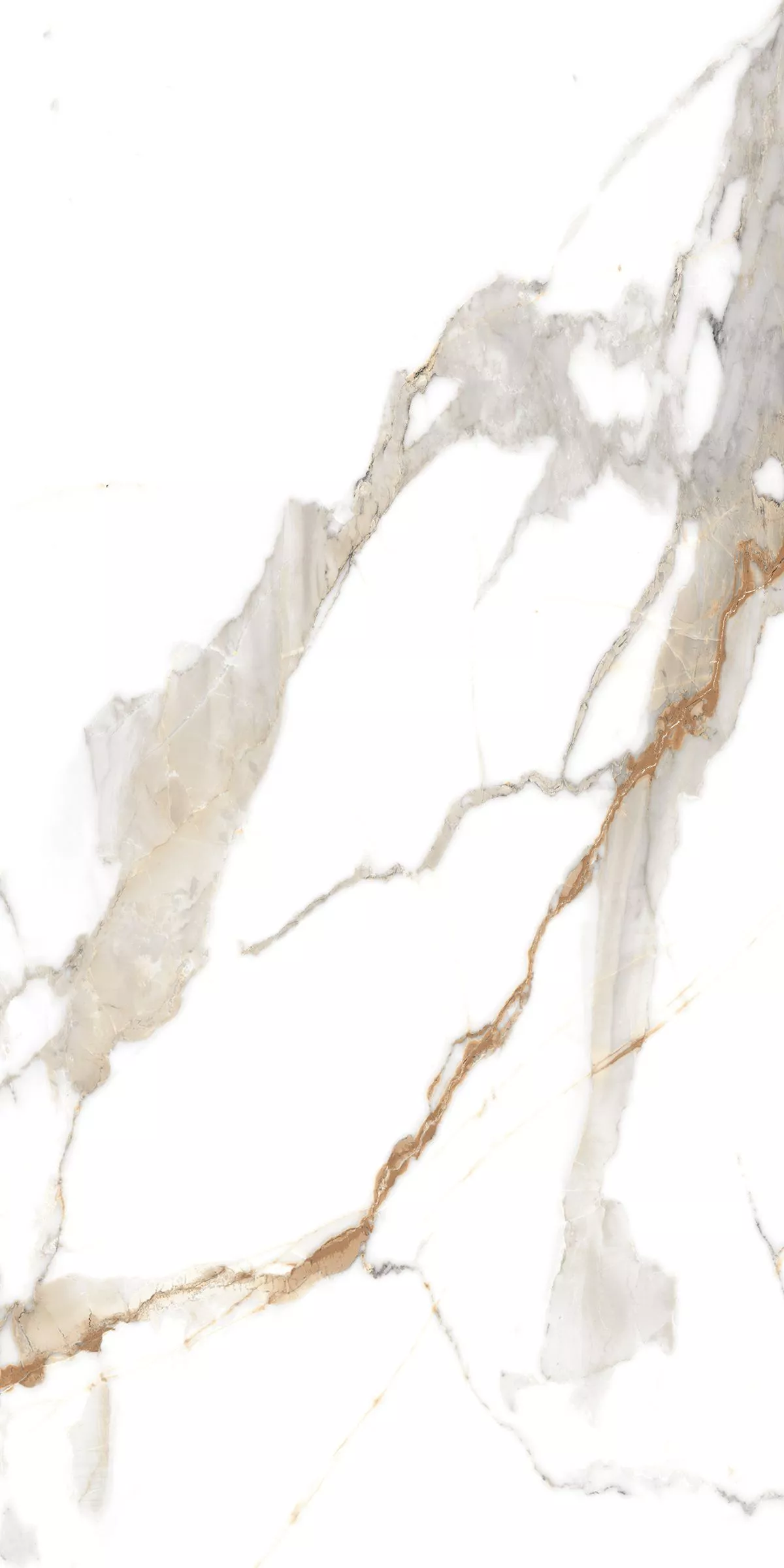 Купить Керамогранит ARTCER Marble Classic Carrara 9 mm  CARV 60x120
