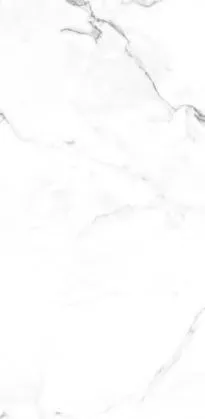 Купить Керамогранит Primavera  Dalim White NR235 1200х600 мм.