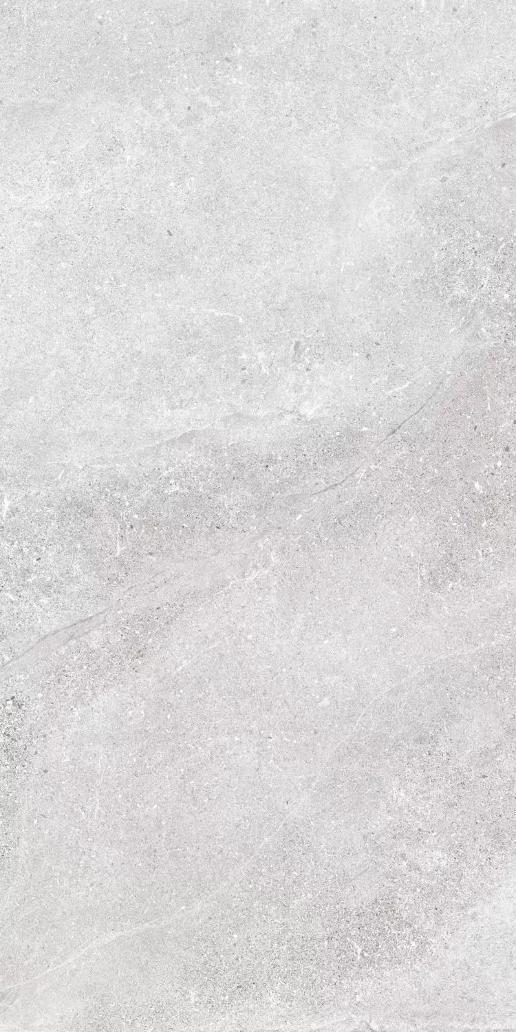 Купить Керамогранит Ibero Lune Grey MATE 60x120
