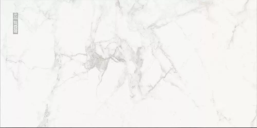 Купить AB 1112G Carrara Classic полированный 120х60, Absolut Gres