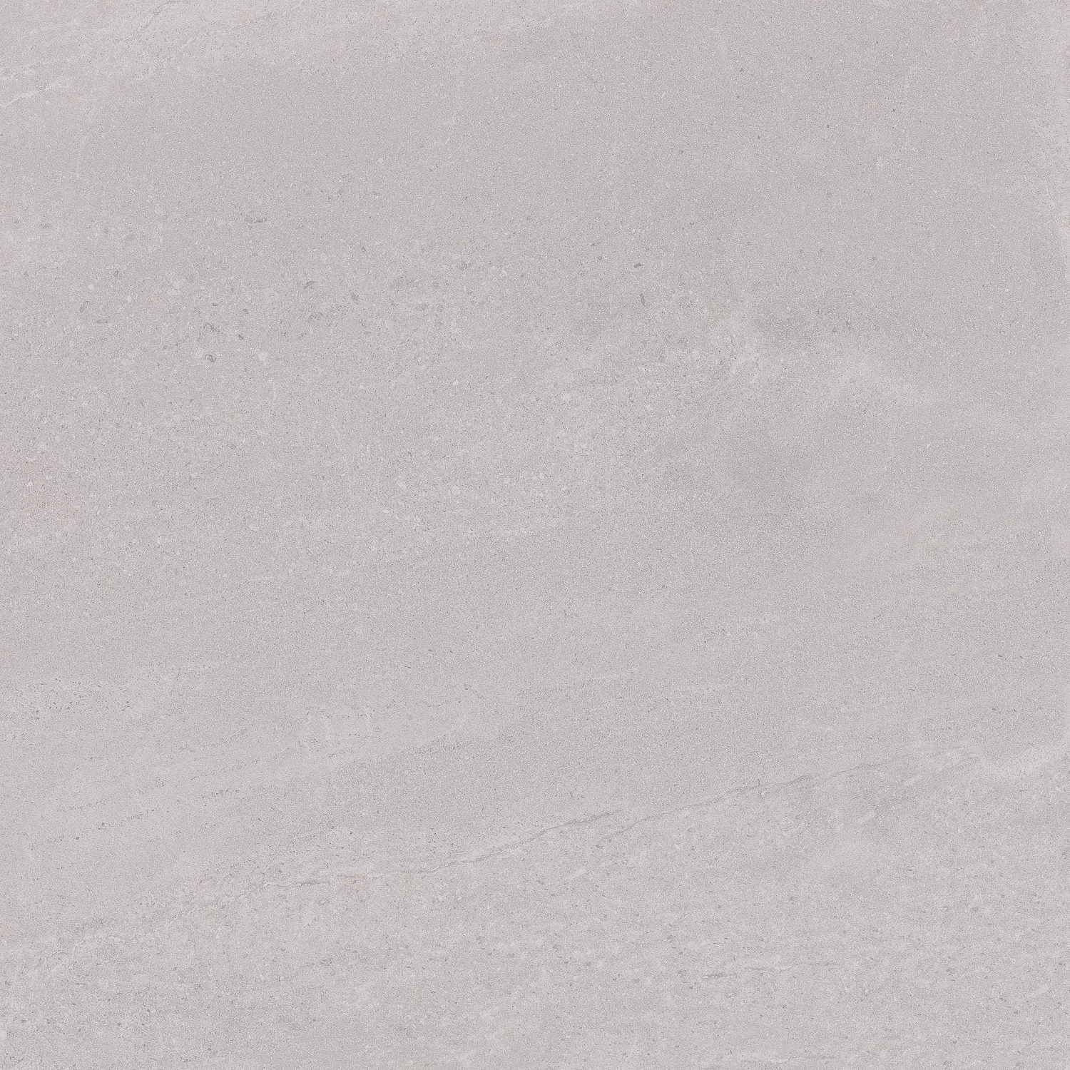 Купить DD602020R Про Матрикс светло-серый обрезной керамогранит 60x60, Kerama Marazzi