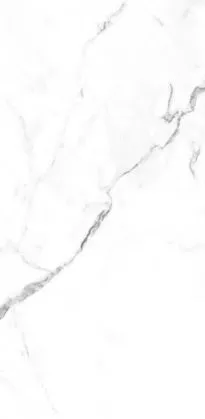 Купить Керамогранит Primavera  Dalim White NR235 1200х600 мм.
