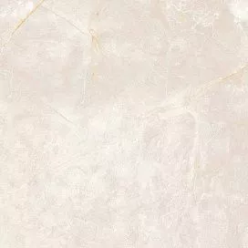 Купить Керамогранит Primavera Costa Grey 60x60 см (PR109)