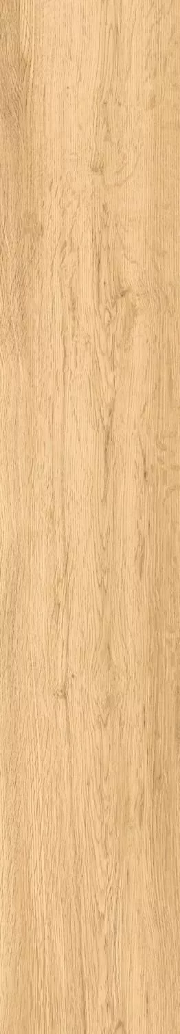 Купить Керамогранит ARTCER Wood Modena Honey MATE 20x120
