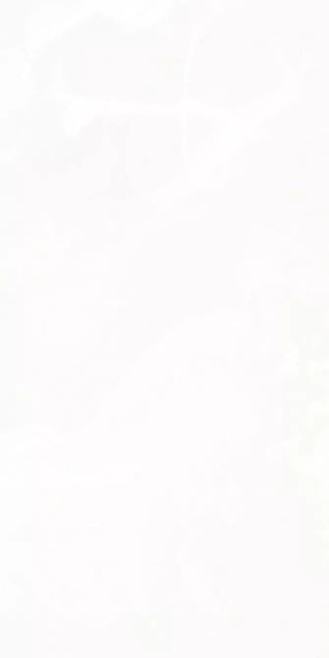 Купить Керамогранит ARTCER Eco Onyx White 5.5 mm POLI 60x120