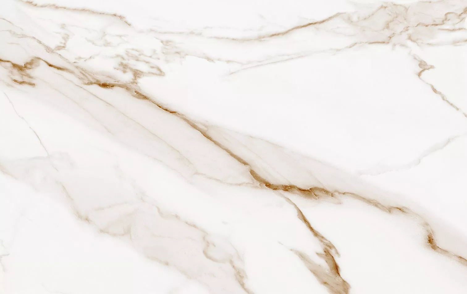Купить 10100001554 Капелла бел верх 01 плитка для стен 25х40, Gracia Ceramica