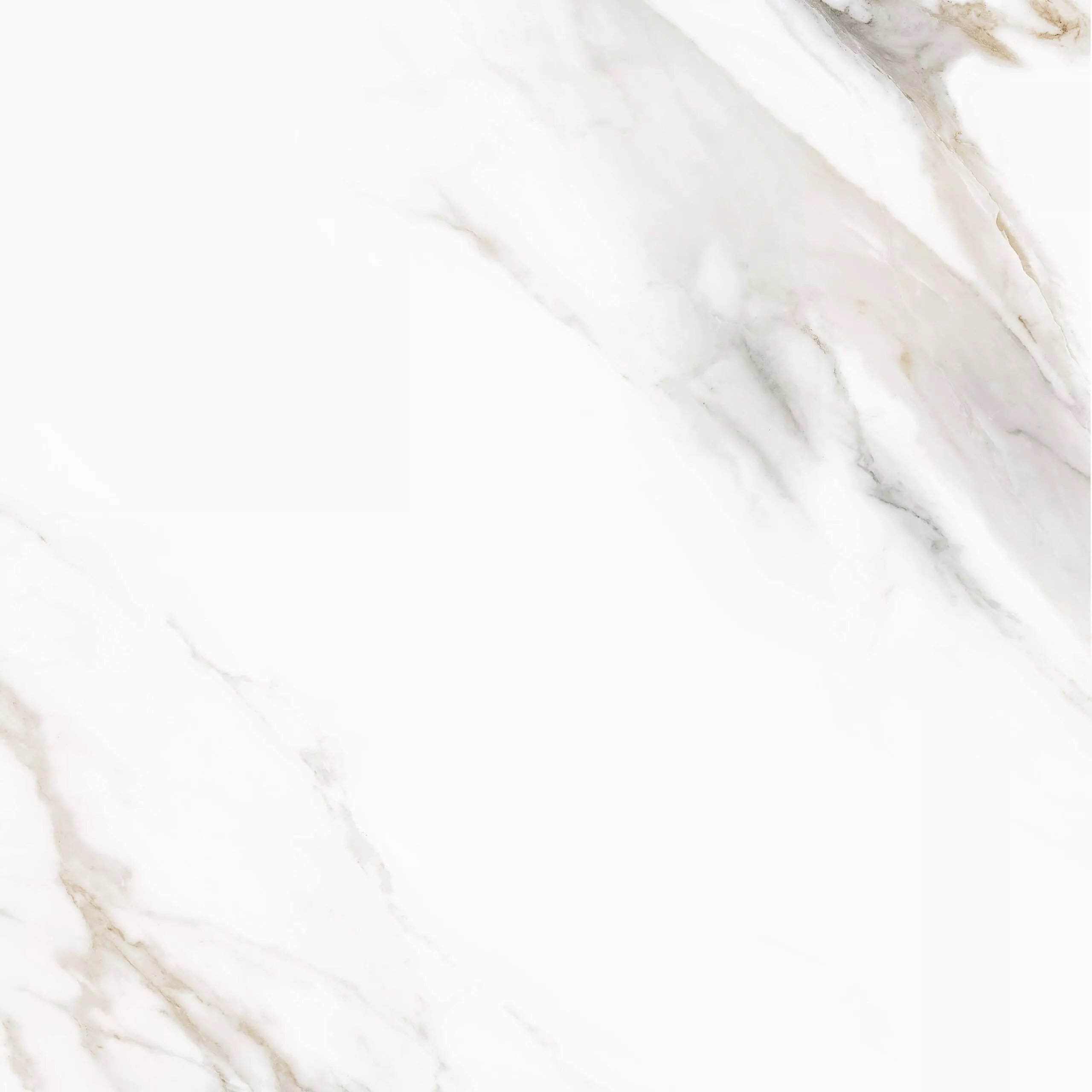 Купить Керамогранит PARDIS Pelatin Polished 800х800 мм