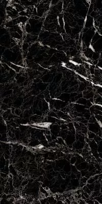 Керамогранит ARTCER Eco Luminia Black 9 mm POLI  60x120