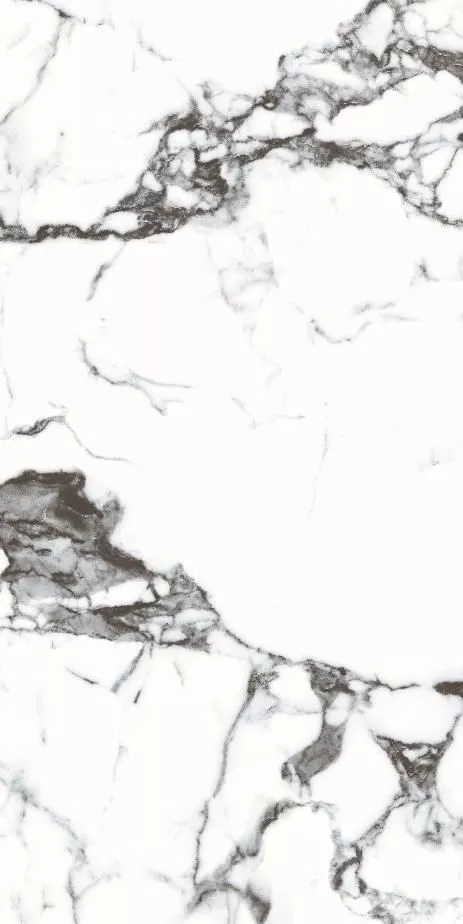 Купить Керамогранит Primavera Blanco Tranco 60x120 см (CR206) с доставкой Купить Керамогранит Primavera Blanco Tranco 60x120 см (CR206)