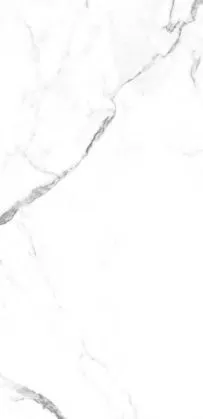 Купить Керамогранит Primavera  Dalim White NR235 1200х600 мм.
