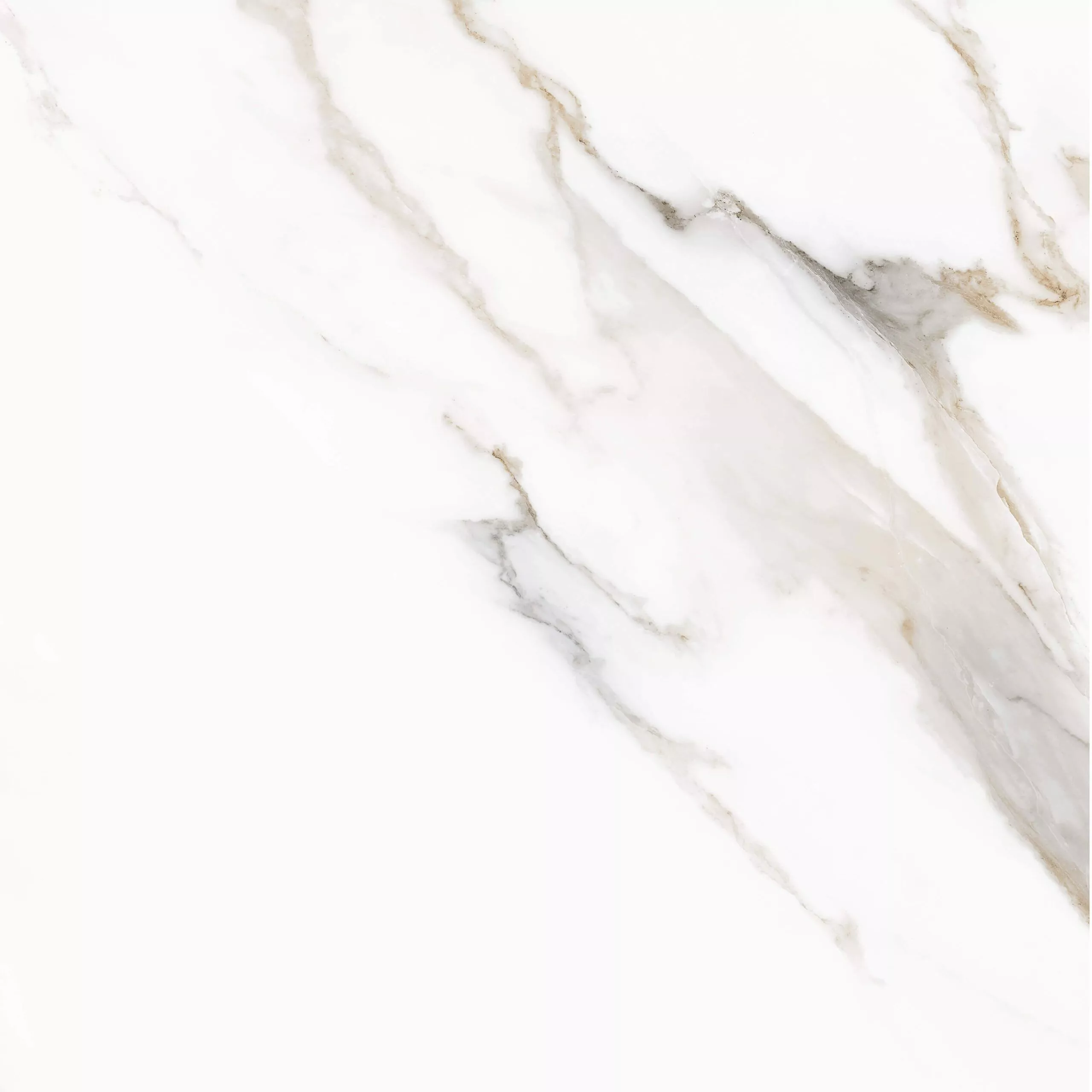 Купить Керамогранит PARDIS Pelatin Polished 800х800 мм