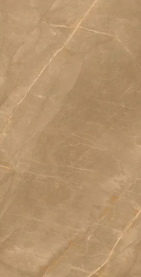 Купить Керамогранит Eco Royalish Brown 9 mm POLI 60x120
