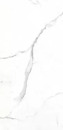 Купить Керамогранит Primavera  Dalim White NR235 1200х600 мм.