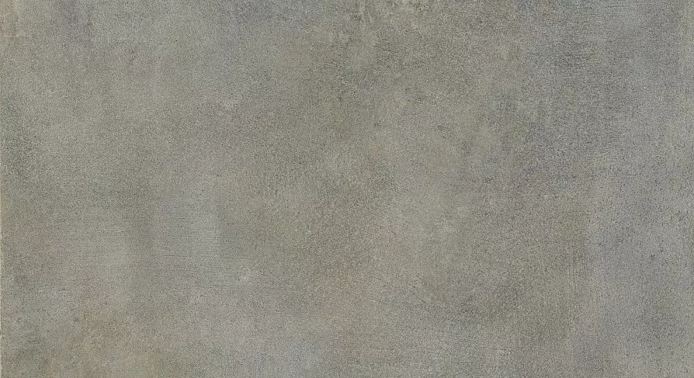 Купить Керамогранит Primavera Alzirr Dark 30x60 см (NR012)