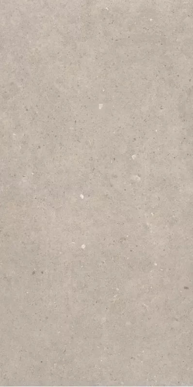 Купить Керамогранит Sanchis Home Cement Stone Greige MATE 60x120