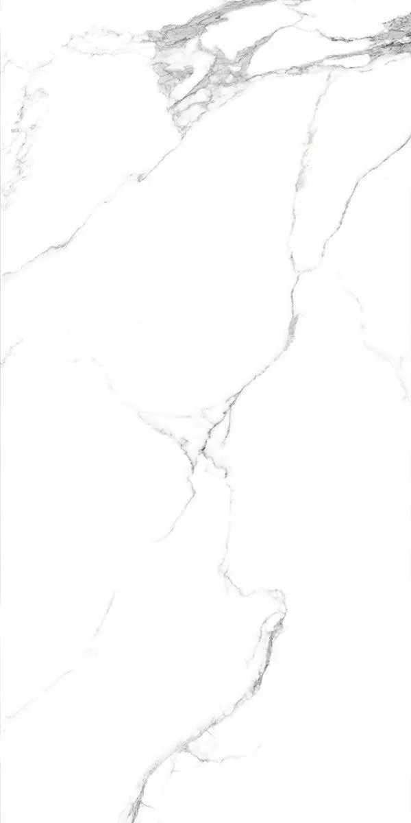 Купить AB 1124G Statuario Titan полированный 120х60, Absolut Gres