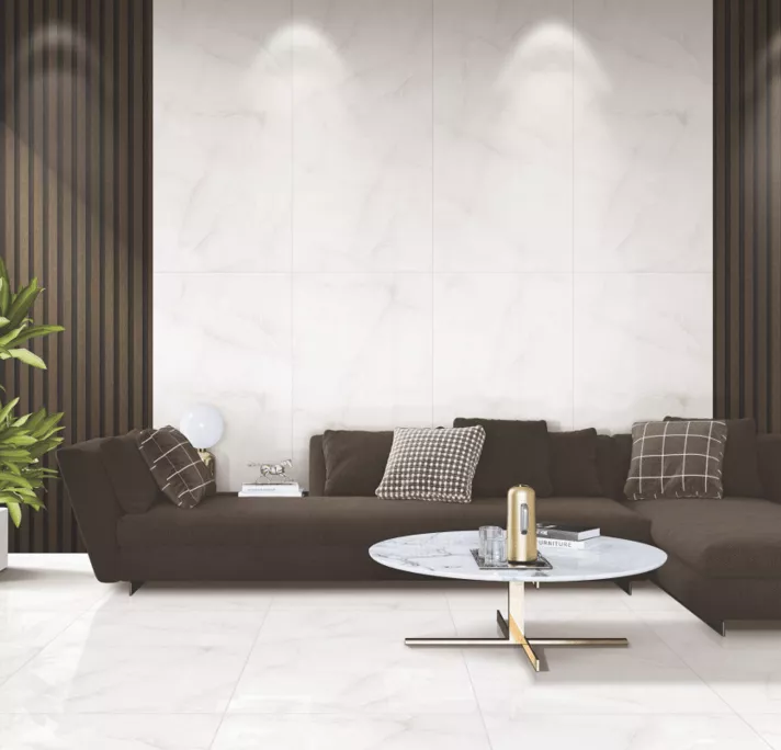 Купить Керамогранит ARTCER Marble Elvine Grey 9 mm POLI 60x120