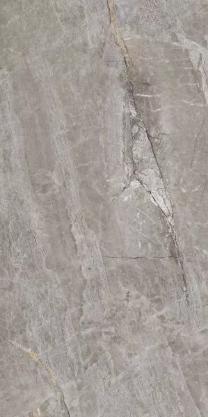 Купить Керамогранит Primavera Essence Grey 60x120 см (PR209)