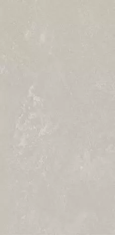 Купить Керамогранит Primavera  Virgo Grey NR241 1200х600 мм.