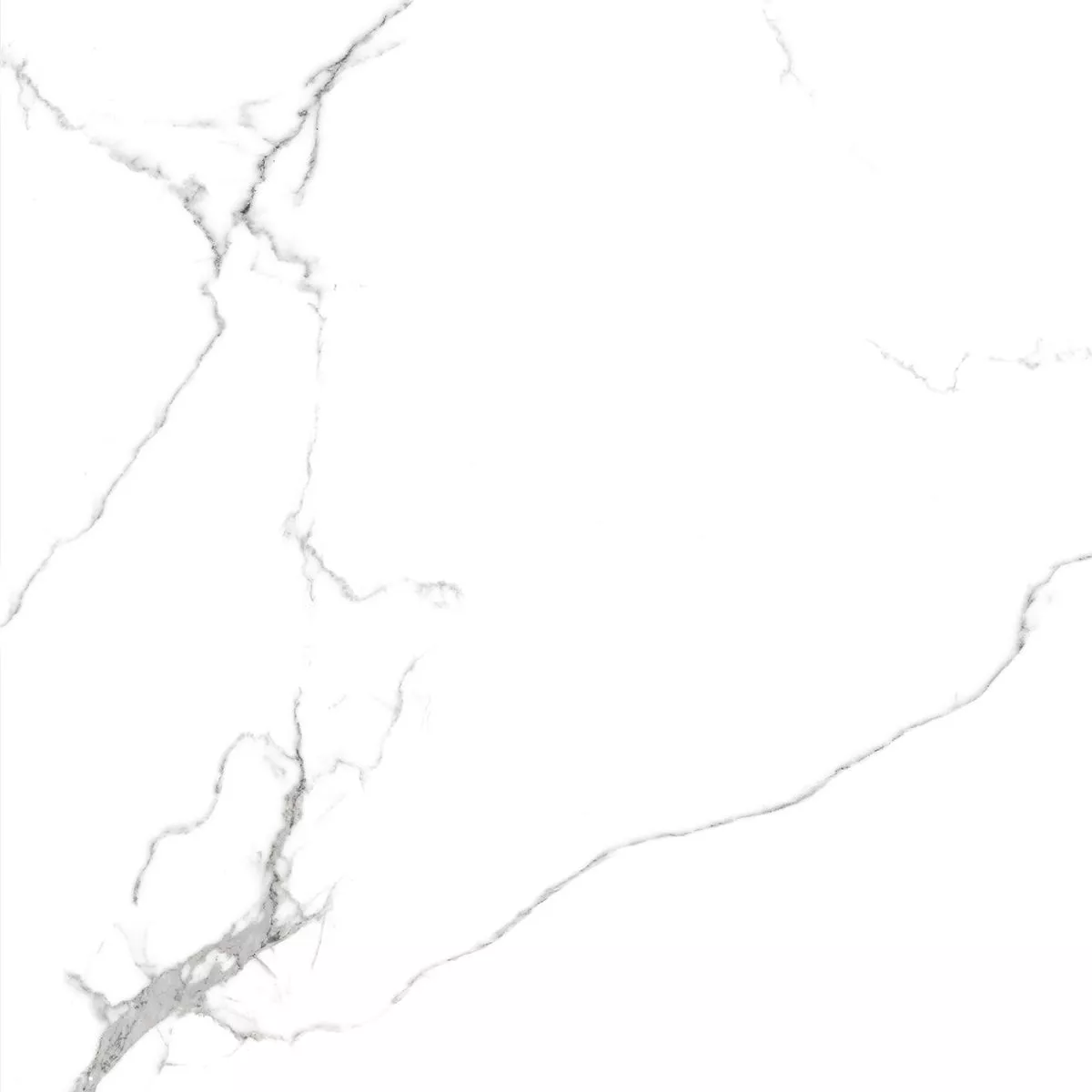Купить Керамогранит Royce Calacatta Venatino Matt 60x60 см (R_NR1001)