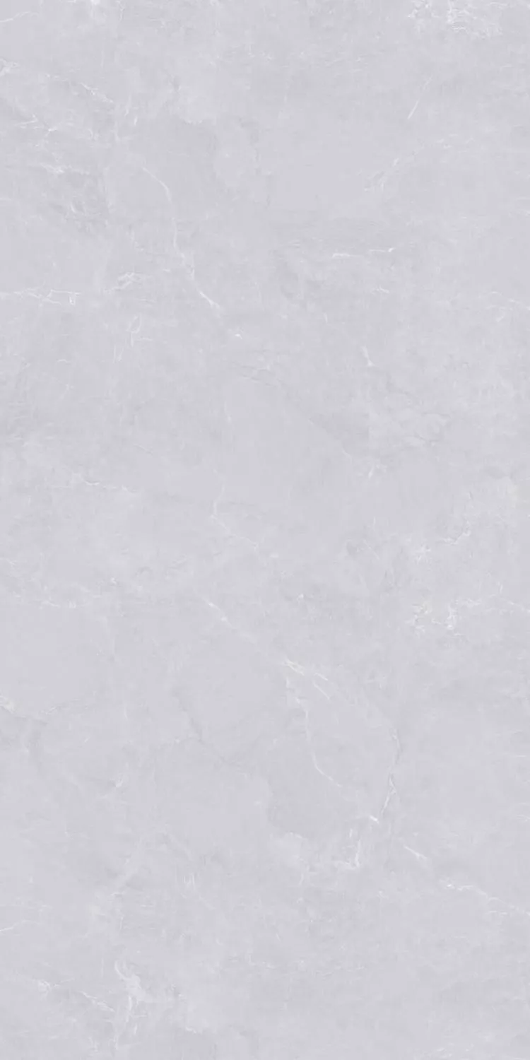 Купить Керамогранит PARDIS Aktay Light Polished 600х1200 мм