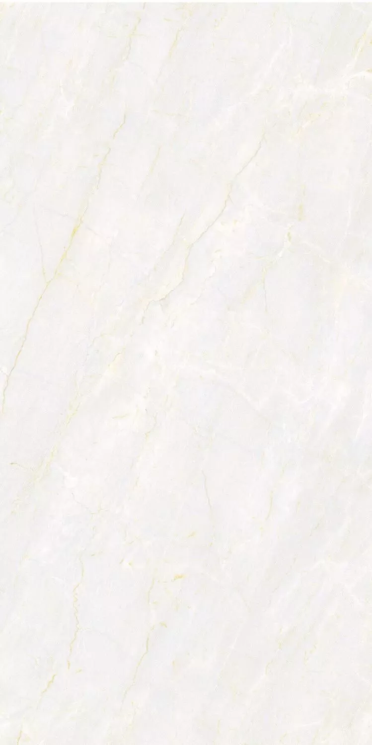 Купить Керамогранит PARDIS Estonia Polished 800х1600 мм