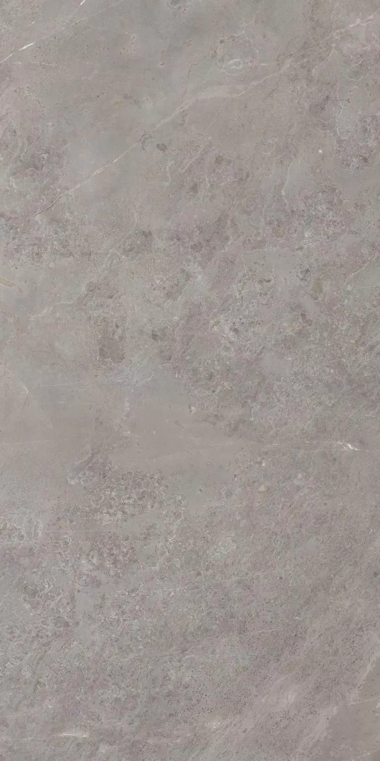 Купить Керамогранит ARTCER Stone Luish Gris CARV 60x120