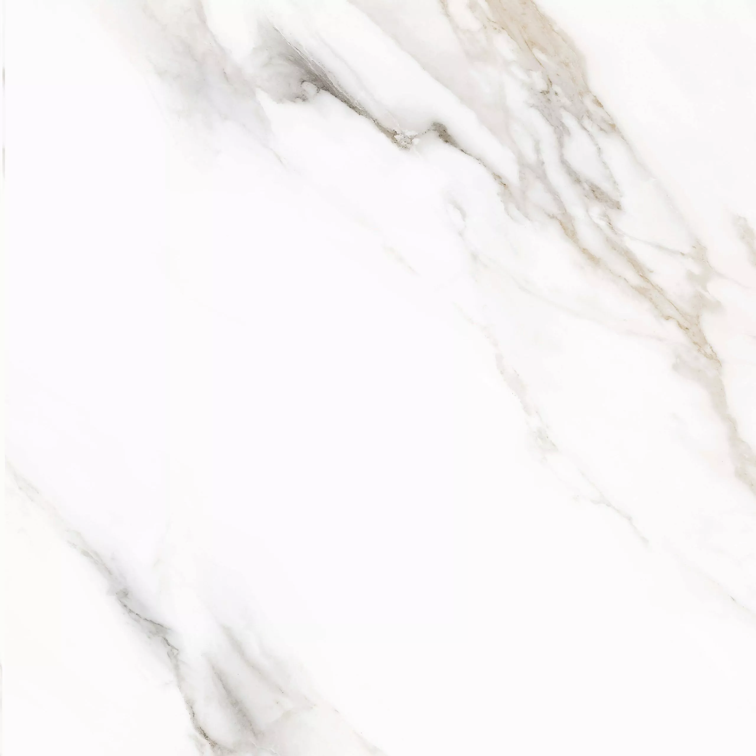 Купить Керамогранит PARDIS Pelatin Polished 800х800 мм