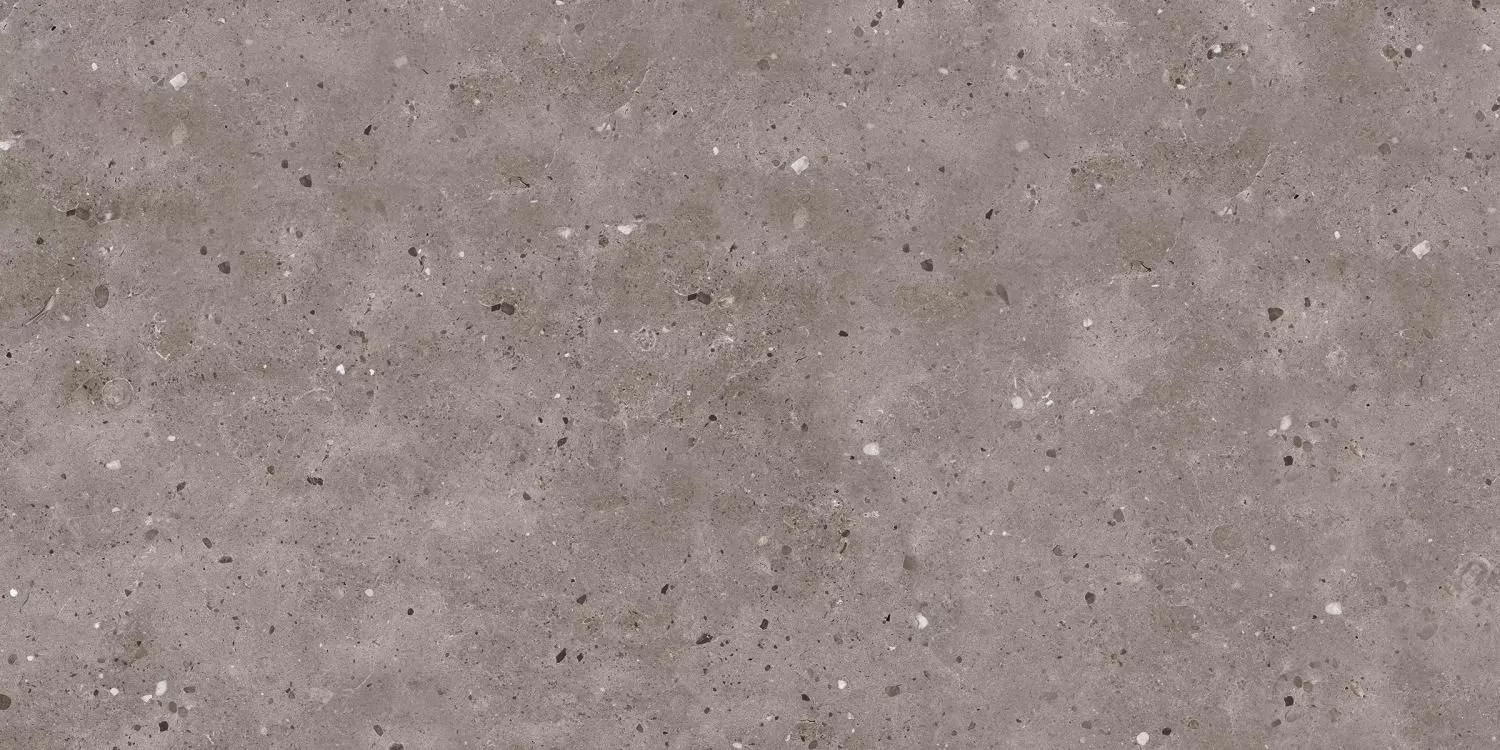 Купить Керамогранит Maimoon Ceramica  Carving Cronos cool grey 120х60