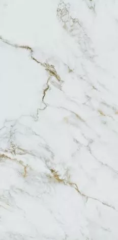 Купить Керамогранит Primavera  Olga Gold MG205 1200х600 мм.