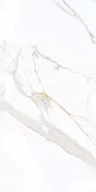 Купить Керамогранит Primavera Regal Carara 60x60 см (PR103)