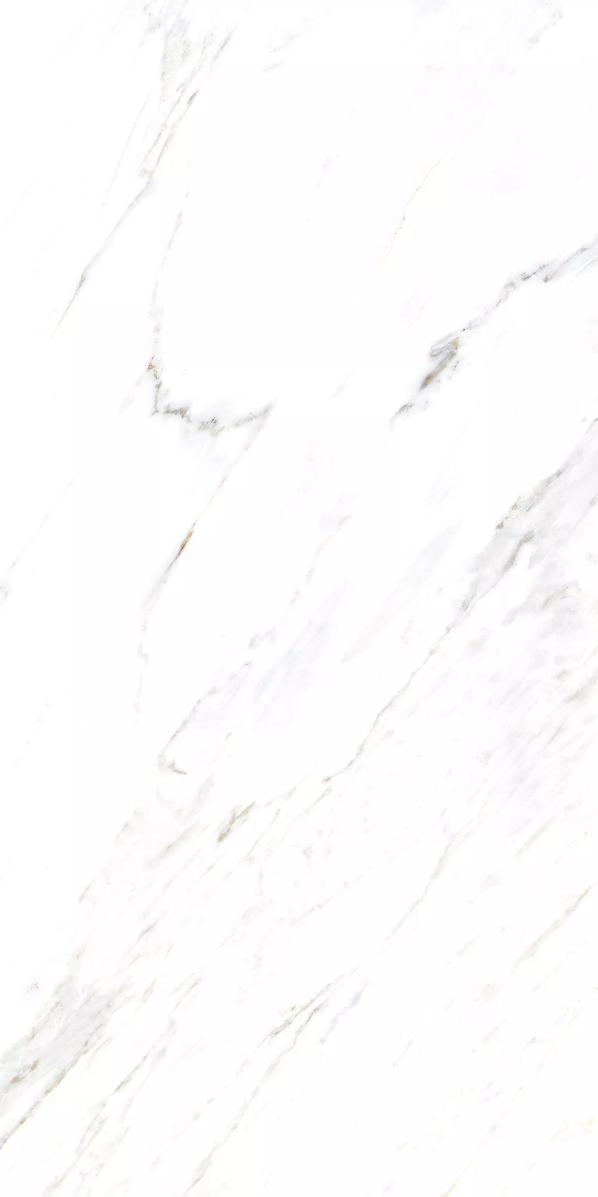 Купить Керамогранит ARTCER Marble Calacatta Caldia 9 mm POLI 60x120