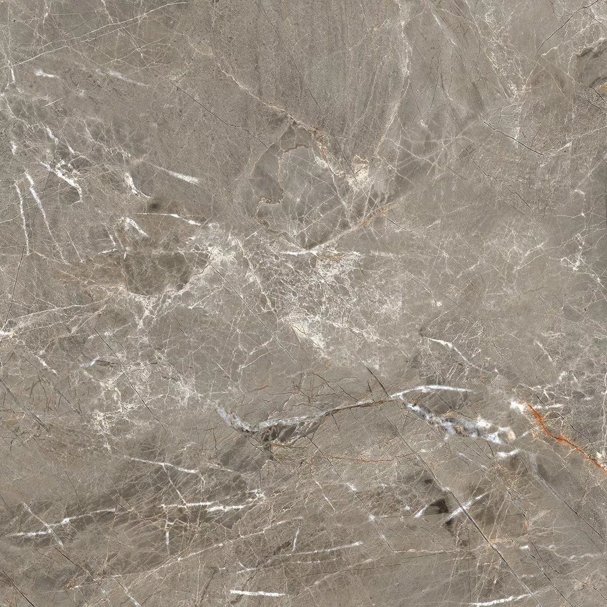 Купить Керамогранит Royce Olympia Grey Matt 60x60 см (R_NR1011)