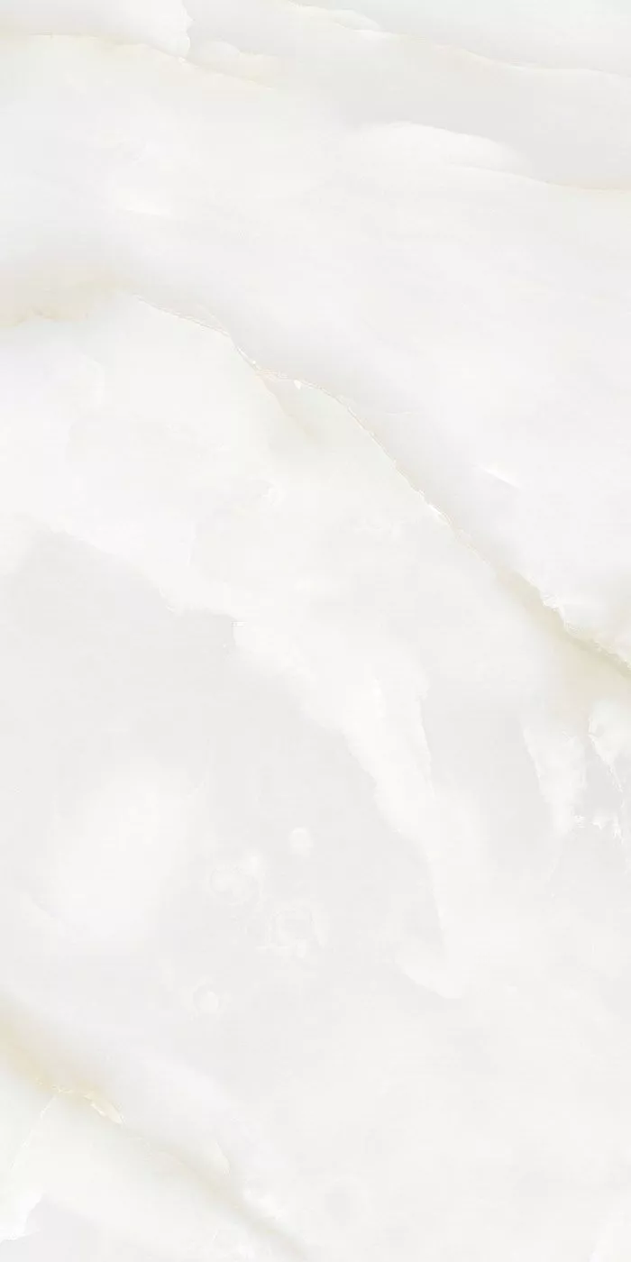 Купить Керамогранит PARDIS Raya (176507) Polished 600х1200 мм