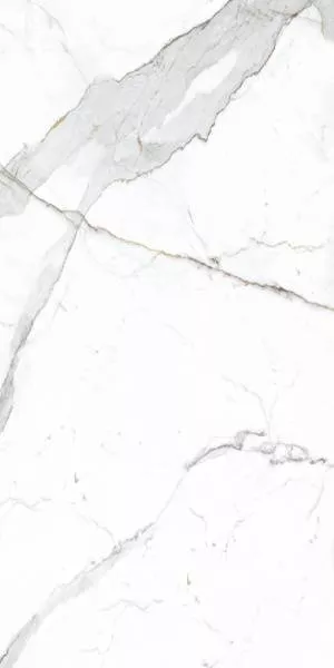 Купить Керамогранит Primavera Dario 60x120 см (NR201)