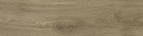 Купить Керамогранит Primavera  Branch Taupe WD106 1200х200 мм.