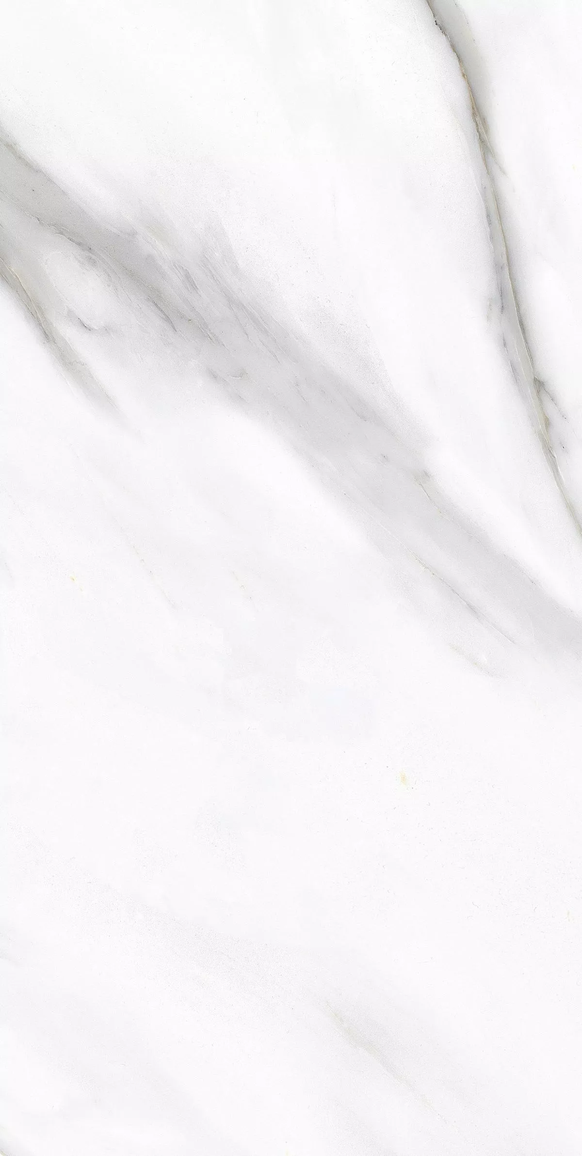 Купить Керамогранит Primavera Pirgos White Polished 60х120 см (PR233)